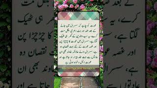 عورت کو چاہیے flute music cover ringtone recorder quotes backgroundmuisc musiclove duet [upl. by Annel]