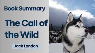 The Call of the Wild  Jack Londons Masterpiece of Adventure and Resilience  Book Summary [upl. by Novahc]