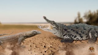 Crocodile vs Komodo Dragon  The Final Verdict shorts [upl. by Kalbli]