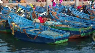 Essaouira traditional fishing port – wooden boats fish nets repaired and seagulls [upl. by Tnarb]