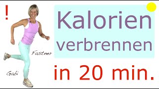 ❗️Kalorien verbrennen in 20 min  ca 200 Kcal  schnell und effektiv  ohne Geräte im Stehen [upl. by Norty]