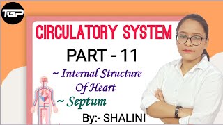 SEPTUM  INTERNAL STRUCTURE OF HEART  CIRCULATORY SYSTEM  Life processtgpcirculatorysystem [upl. by Spratt]