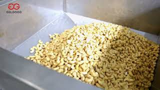 Salted Roasted Cashew Production Line Cashew Nut Salting Line [upl. by Ahseikram]