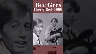 Young Bee Gees Song “Cherry Red” 1966 [upl. by Alieka]