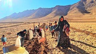 quotSowing Prosperity Tilling WheatPlanting and Nurturing Sheep in the Nomadic Familys Journeyquot [upl. by Jecho965]