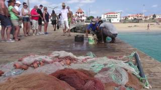 Sal Kaapverdië  Cabo Verde  Cape Verde 2016 Paradise Island [upl. by Yentiw]