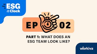 What does an ESG team look like Part One [upl. by Hannan]