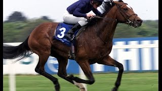 Galileo  Irish Derby 2001 [upl. by Tsiuqram]