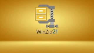 WinZip 21 How to Unzip a File [upl. by Nylynnej]