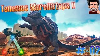 ARK Survival Evolved Domesticamos Morellatops  La Aventura del desierto gameplay español [upl. by Doxia701]