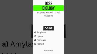 Enzymes and the small intestine GCSE Biology [upl. by Chitkara]