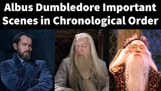 Harry Potter and Albus Dumbledore  Our Choices [upl. by Evannia389]