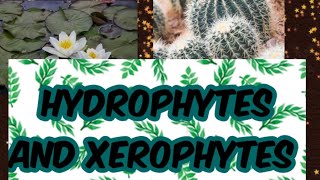 Hydrophytes and Xerophytes  Definations and Adaptations [upl. by Nico]