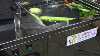 Ozone washer amp Sonic Cleaning of Fruits amp Vegetables [upl. by Yrrej570]