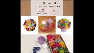 Kit DIY cu licheni decorativi [upl. by Kinsler]