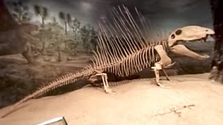 The Royal Tyrrell Museum in 360 Degrees [upl. by Nnylorac]