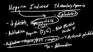 Coagulation Cascade Made Simple [upl. by Ahsied989]