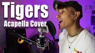 Bilal Wahib  Tigers prod Fraasie amp DPep ACAPELLA COVER [upl. by Elkcim]