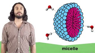 The Laws of Thermodynamics Entropy and Gibbs Free Energy [upl. by Carolus]