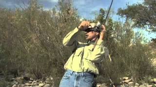 Bobber n Jig Steelhead Fishing on the Clearwater River [upl. by Debor]