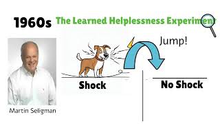 Seligmans Learned Helplessness Experiment Understanding Despair and Resilience [upl. by Latnahs]