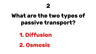 These 15 Questions and Answers will Teach you about Diffusion and Osmosis [upl. by Georgetta466]