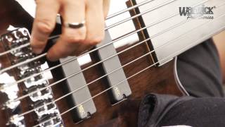 The Pro Series Streamer LX 6String Fretless  with Andy Irvine [upl. by Brenna690]