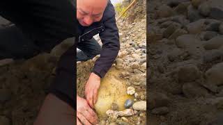 precious stone found in the river bank shortsvideo [upl. by Ietta]