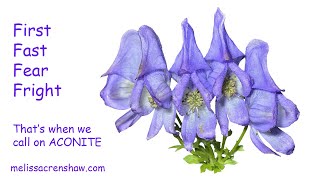 1 Aconitum Napellus Aconite  Homeopathic Remedy [upl. by Aerdua]