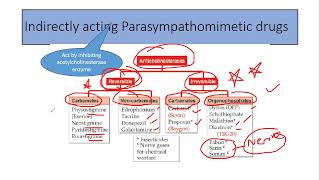 Parasympathomimetic drugs part 2 [upl. by Euqinobe]