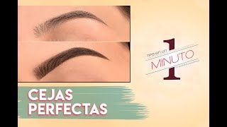 Como Maquillar las Cejas  Cejas Perfectas [upl. by Lewie731]