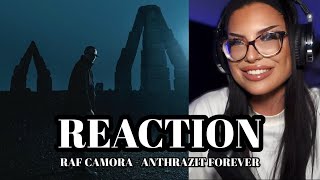 COMEBACK DES JAHRES 🐉 RAF Camora  ANTHRAZIT FOREVER  REACTION [upl. by Cecelia343]