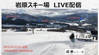 越後湯沢 【岩原スキー場】ホテルアルファスター岩原の景色＝LIVEカメラ＝【Iwappara Ski Resort】A View of Hotel Alpha Star Iwappara [upl. by Desirea]