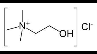 Choline Chloride from Choline Bitartrate New [upl. by Eteragram]