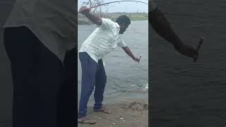 Hook fishing🎣 unbelievable catching big rohu🐠 [upl. by Mcquade]