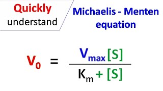 Michaelis Menten equation [upl. by Pauiie]