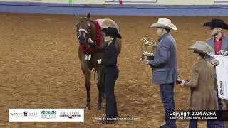 2024 AQHA Amateur 2YearOld Mares World Champion [upl. by Acilgna340]