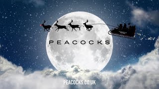 Peacocks Christmas Advert 2017  XMASFACTOR [upl. by Alimrahs47]