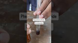 reaction of phenol with ferric chloride experiment science reels [upl. by Noli257]