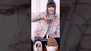 Nur Hundebesitzer verstehen dieses Video 😅 Billi hat Husten ViktoriaSarina [upl. by Anais550]