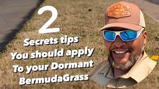 2 secrets I would apply to my Dormant Bermuda Grass for faster Green up NOW [upl. by Elazaro386]