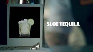 SLOE TEQUILA DRINK RECIPE  HOW TO MIX [upl. by Allit]