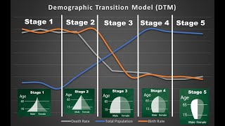 The Demographic Transition Model [upl. by Lemmuela]