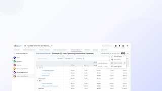 Hospitality NonOperating Income and Expenses Report Schedule11 [upl. by Annaiuq228]