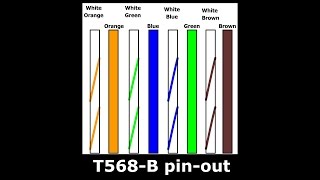 How To Replace RJ45 Network Patch Cable PLUG Cat5E DIY [upl. by Otrebire]