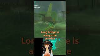 Long bridge my love 【 Zelda TOTK 】 [upl. by Ettezus]