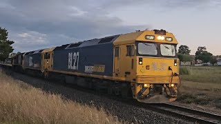 7733V PN empty wheat grain BL27 BL33 XR559 Geelong to Murtoa 2003 231024 Stawell VIC [upl. by Donall]