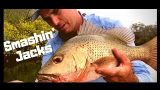 How to catch Mangrove Jacks  Fishing in Creeks  Skip Casting [upl. by Lered]