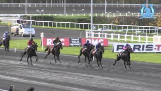 TORRE CREPIN A LAMY remporte le Prix de lIle dOléron sur lhippodrome de Vincennes  A2TURFCOM [upl. by Dorcea]