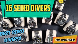 SOTC PART 3  Seiko Divers  The Watcher [upl. by Intyre]